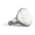 Thumbnail photo of Bulb Led 13w (1300lm) 2700k Dimmable E27