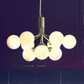 Thumbnail photo of Apiales 9 Chandelier