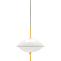 Thumbnail photo of Clam Pendant Lamp