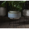 Thumbnail photo of Botanique Flowerpot