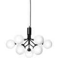 Thumbnail photo of Apiales 9 Chandelier