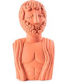 Thumbnail photo of Magna Graecia Terracotta Buste