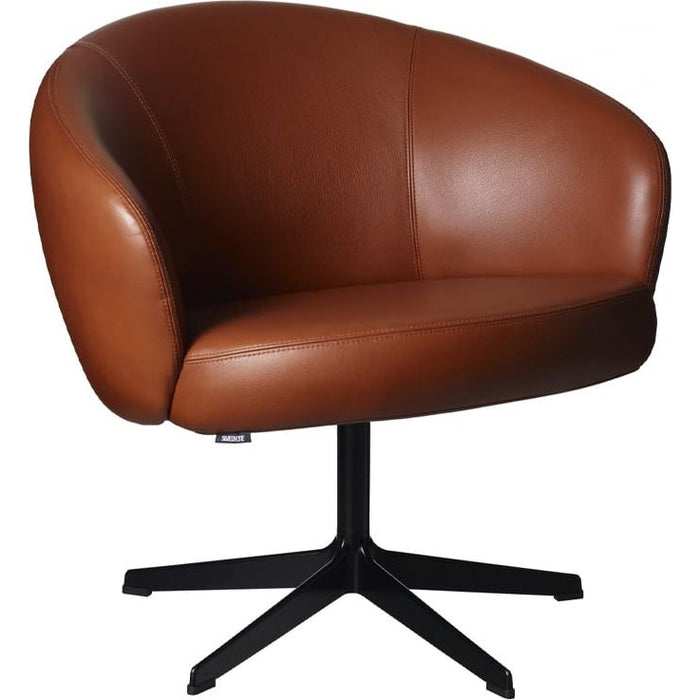 Photo of Rondino Armchair Leather Elmosoft 33001 Brown, Black Lacquered Base