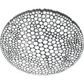 Thumbnail photo of Calipso Ceiling Lamp
