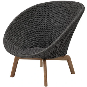 Photo of Peacock lounge chair