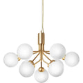 Thumbnail photo of Apiales 9 Chandelier