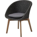 Peacock Outdoor Chair