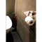 Thumbnail photo of NOVA2 Soap Dispenser 1939