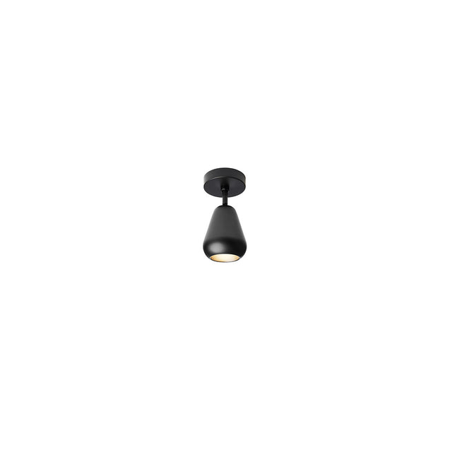 Photo of Anoli Spot Surface Wall/ceiling Lamp