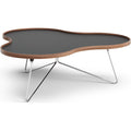 Thumbnail photo of Flower Table 107x114 Cm Black, 39cm