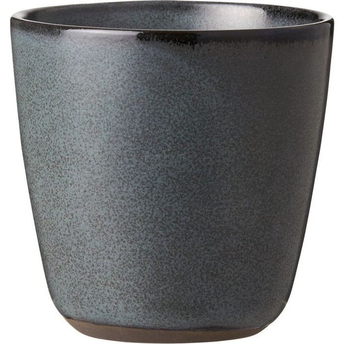 Photo of RAW 30cl Mug