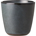 RAW 30cl Mug