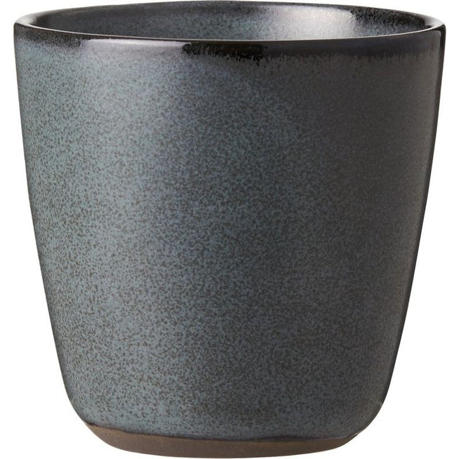 Photo of RAW 30cl Mug