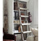 Thumbnail photo of Ladder