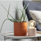Thumbnail photo of ARNOLD Table Lamp