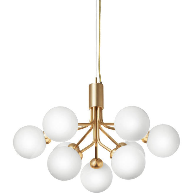 Photo of Apiales 9 Chandelier