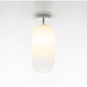 Jellyfish Ceiling Lamp