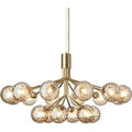 Thumbnail photo of Apiales 18 Chandelier