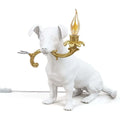Thumbnail photo of Rio Lampe