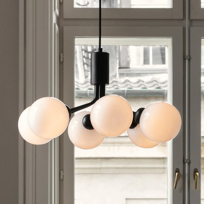 Photo of Apiales 6 Chandelier