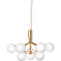 Thumbnail photo of Apiales 9 Chandelier
