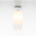 Thumbnail photo of Jellyfish Ceiling Lamp