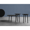 Thumbnail photo of AARHUS Table1