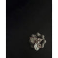 Thumbnail photo of Bloom Tray Mini Dark Grey