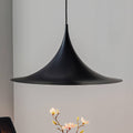 Thumbnail photo of Semi Pendant Lamp, Large
