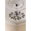 Thumbnail photo of Apiales 18 Chandelier
