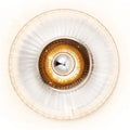Thumbnail photo of New Wave Optic XL Wall Lamp 1