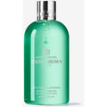 Wild Mint & Lavandin Bath & Shower Gel