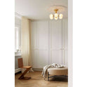 Apiales 6 Ceiling Lamp Brushed