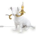Thumbnail photo of Rio Lampe