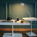 Thumbnail photo of Demetra Micro Desk Lamp