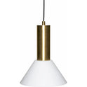 Contrast Hanging Lamp