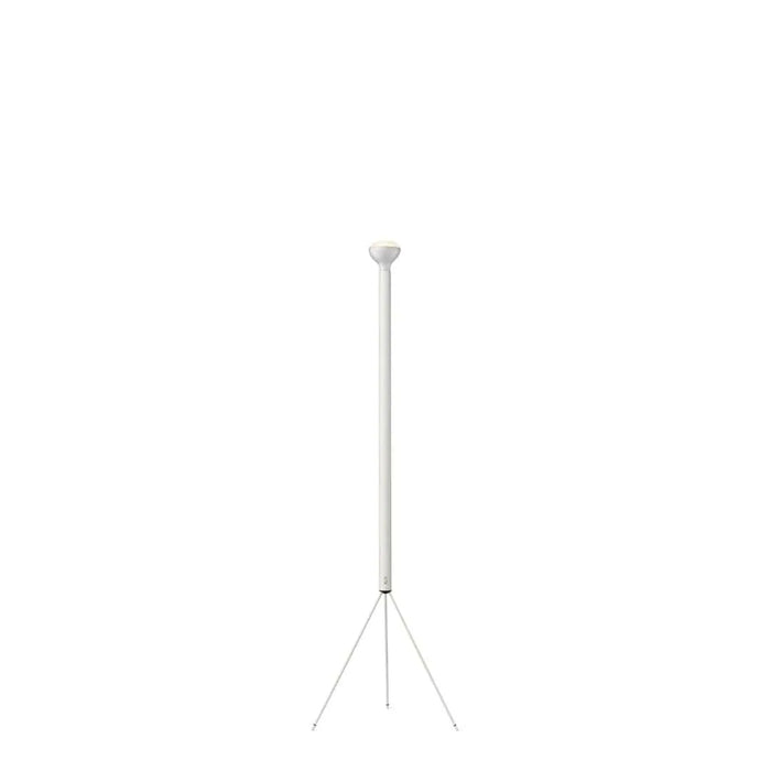 Photo of Luminator Floor Lamp 1