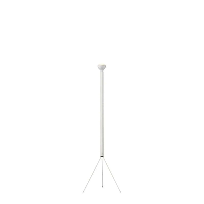 Photo of Luminator Floor Lamp 1