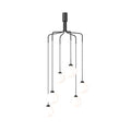 Thumbnail photo of Apiales Cluster 6 Chandelier