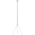 Thumbnail photo of Luminator Floor Lamp 1