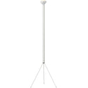 Luminator Floor Lamp 1