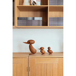 Photo of Architectmade Duck