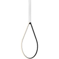 Thumbnail photo of Arrangements Drop Up Pendant Lamp