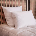 Thumbnail photo of Mama Pillow Firm