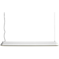 Thumbnail photo of PC Linear Pendant Lamp