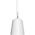 Thumbnail photo of Pendant Light