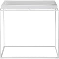 Thumbnail photo of Tray Table Large 40x60 Fra Hay