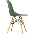 Eames Plastic Chair Dsw - 48 Forest - Golden Maple - Matstolar - Charles & Ray Eames - Grön - Metall/trä/plast