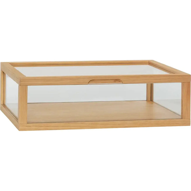 Photo of View Small Display Box