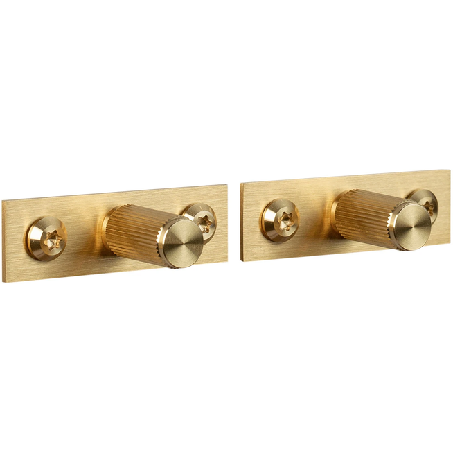 Photo of Buster + Punch - Furniture Knob Plate Linear